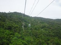Australien - Cairns - Ausflug nach Kuranda - Skyrail &ndash; &copy; Sabine Letzybyll (Eberhardt TRAVEL)