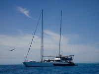 Australien - Great Barrier Reef  - Green Island - Katamaran  &ndash; &copy; Sabine Letzybyll (Eberhardt TRAVEL)