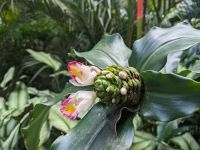 13. Botanischer Garten &ndash; &copy; Teresa Rumpel (Eberhardt TRAVEL)