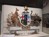 195. Melbourne &ndash; &copy; Teresa Rumpel (Eberhardt TRAVEL)