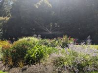 200. Melbourne &ndash; &copy; Teresa Rumpel (Eberhardt TRAVEL)