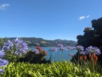 231. Dunedin &ndash; &copy; Teresa Rumpel (Eberhardt TRAVEL)