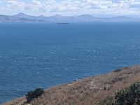 236. Dunedin &ndash; &copy; Teresa Rumpel (Eberhardt TRAVEL)