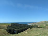 240. Dunedin &ndash; &copy; Teresa Rumpel (Eberhardt TRAVEL)