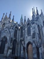 249. Dunedin &ndash; &copy; Teresa Rumpel (Eberhardt TRAVEL)