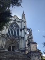 253. Dunedin &ndash; &copy; Teresa Rumpel (Eberhardt TRAVEL)