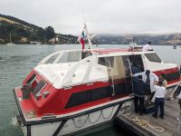 263. Tenderboot zum Hafen Akaroa &ndash; &copy; Teresa Rumpel (Eberhardt TRAVEL)