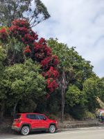 284. Akaroa &ndash; &copy; Teresa Rumpel (Eberhardt TRAVEL)