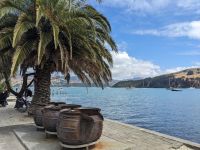 285. Akaroa &ndash; &copy; Teresa Rumpel (Eberhardt TRAVEL)