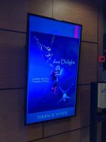 290. Akrobatikshow Norwegian Spirit &ndash; &copy; Teresa Rumpel (Eberhardt TRAVEL)