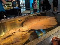 293. Nationalmuseum Wellington &ndash; &copy; Teresa Rumpel (Eberhardt TRAVEL)