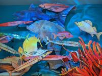 306. Napier &ndash; &copy; Teresa Rumpel (Eberhardt TRAVEL)