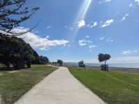 314. Napier &ndash; &copy; Teresa Rumpel (Eberhardt TRAVEL)