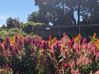 315. Napier &ndash; &copy; Teresa Rumpel (Eberhardt TRAVEL)
