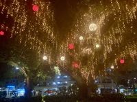 Cairns am Abend &ndash; &copy; Mareike Schmidt (Eberhardt TRAVEL)