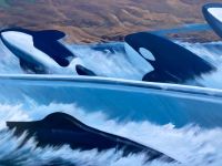 Eden &ndash; &copy; Mareike Schmidt (Eberhardt TRAVEL)