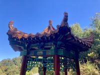 Emu Valley Garden, Burnie &ndash; &copy; Mareike Schmidt (Eberhardt TRAVEL)