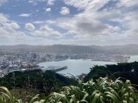 Wellington &ndash; &copy; Mareike Schmidt (Eberhardt TRAVEL)