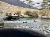 Aquarium, Napier &ndash; &copy; Mareike Schmidt (Eberhardt TRAVEL)