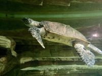 Aquarium, Napier &ndash; &copy; Mareike Schmidt (Eberhardt TRAVEL)