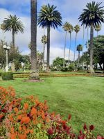 Napier &ndash; &copy; Mareike Schmidt (Eberhardt TRAVEL)