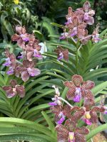 so viele Arten! &ndash; &copy; Birgit Kirchner (Eberhardt TRAVEL)