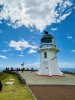 Cape Reinga &ndash; &copy; Birgit Kirchner (Eberhardt TRAVEL)