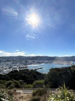 wir erreichen Wellington &ndash; &copy; Birgit Kirchner (Eberhardt TRAVEL)