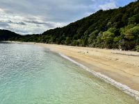 im Abel Tasman Nationalpark &ndash; &copy; Birgit Kirchner (Eberhardt TRAVEL)