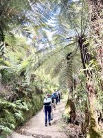 volle Elan starten wir &ndash; &copy; Birgit Kirchner (Eberhardt TRAVEL)