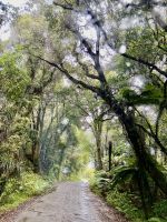 wie im Zauberwald &ndash; &copy; Birgit Kirchner (Eberhardt TRAVEL)