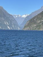 auf dem Milford Sound &ndash; &copy; Birgit Kirchner (Eberhardt TRAVEL)