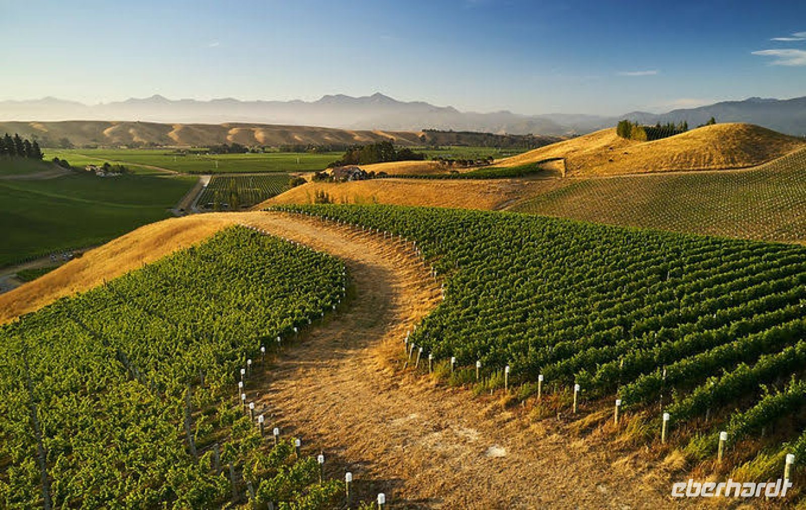 Die Weinregion Marlborough und Nautilus Weinanbaugebiet &ndash; &copy; Simone Willner (Eberhardt TRAVEL)