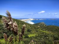 Cape Reinga &ndash; &copy; Simone Willner (Eberhardt TRAVEL)