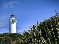 Leuchtturm Cape Foulwind &ndash; &copy; Simone Willner (Eberhardt TRAVEL)
