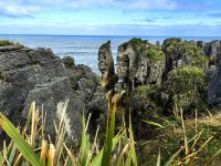 Pancake Rocks, Punakaiki &ndash; &copy; Simone Willner (Eberhardt TRAVEL)