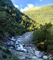 Haast Schlucht &ndash; &copy; Simone Willner (Eberhardt TRAVEL)