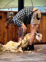 Fast fertig &ndash; &copy; Simone Willner (Eberhardt TRAVEL)