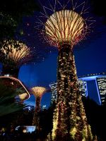 Super Trees &ndash; &copy; Carmen Kiefer (Eberhardt TRAVEL)