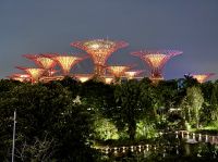 Super Trees