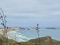 Tasmanische See &ndash; &copy; Carmen Kiefer (Eberhardt TRAVEL)