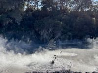 Mudpool &ndash; &copy; Carmen Kiefer (Eberhardt TRAVEL)
