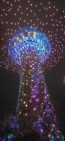 Singapur bei Nacht (7) &ndash; &copy; Marcus Hasselhorst (Eberhardt TRAVEL)