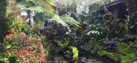 Orchideen Garten (8) &ndash; &copy; Marcus Hasselhorst (Eberhardt TRAVEL)