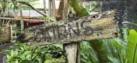 Kuranda (2) &ndash; &copy; Marcus Hasselhorst (Eberhardt TRAVEL)
