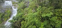 Kuranda rainforest (5) &ndash; &copy; Marcus Hasselhorst (Eberhardt TRAVEL)