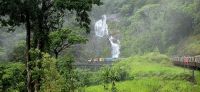Scenic Railway (3) &ndash; &copy; Marcus Hasselhorst (Eberhardt TRAVEL)