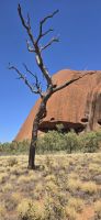 Faszination Outback (3) &ndash; &copy; Marcus Hasselhorst (Eberhardt TRAVEL)
