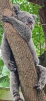 Featherline Tierpark (11) &ndash; &copy; Marcus Hasselhorst (Eberhardt TRAVEL)