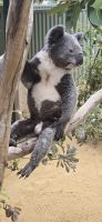 Featherline Tierpark (14) &ndash; &copy; Marcus Hasselhorst (Eberhardt TRAVEL)